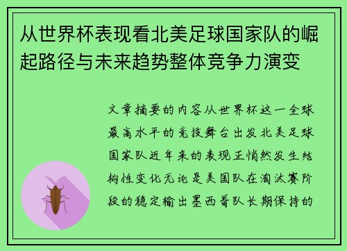 从世界杯表现看北美足球国家队的崛起路径与未来趋势整体竞争力演变